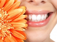9 февраля. Международный день стоматолога.
